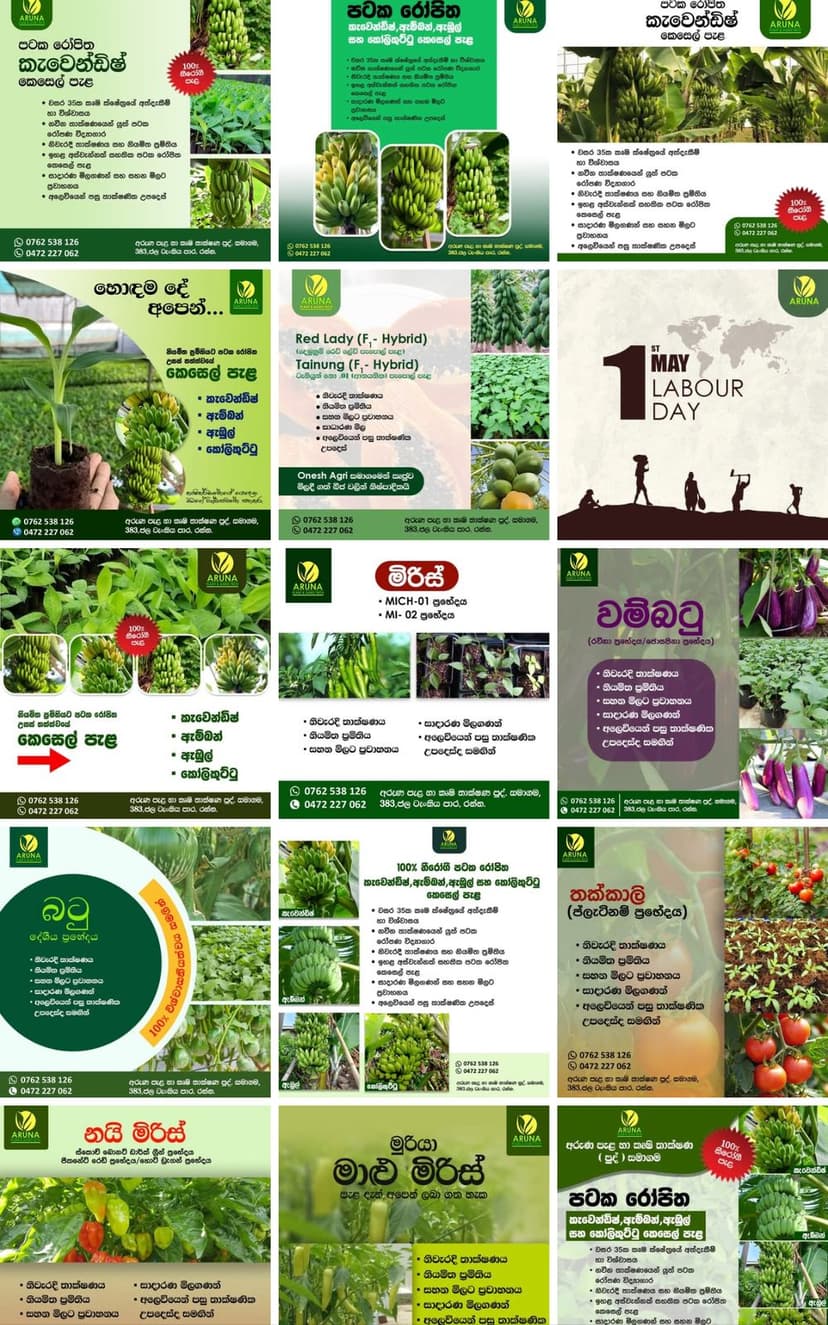 Design Project 33