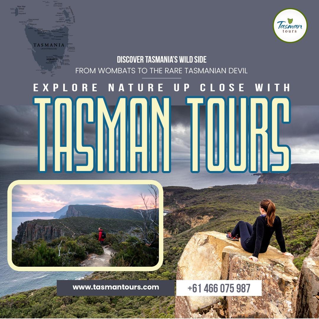 Tasman Tours Facebook & Instagram Management